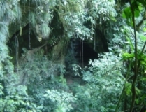 Imagen Cañón Black
